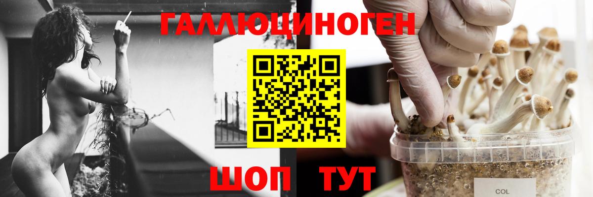 Великий Новгород  Галлюциногенные грибы Cubensis  Вход с VPN  Галлюциногенные грибы ЛСД 