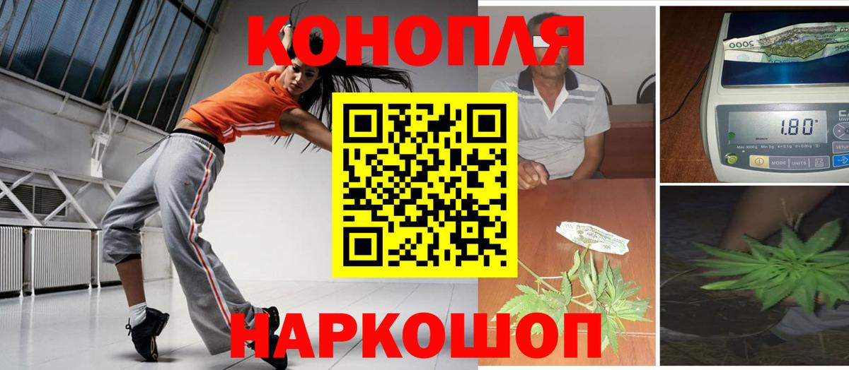 Шишки марихуана сатива Великий Новгород